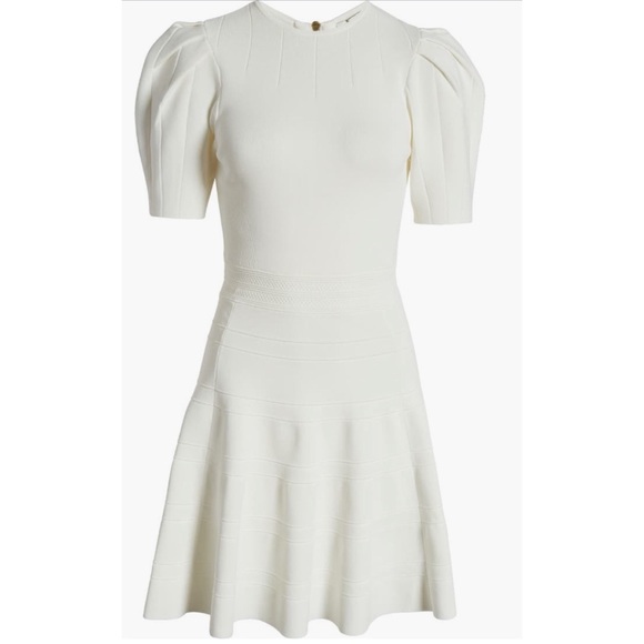 NWT-Ted Baker London Velvey Puff Sleeve Dress - Picture 5 of 5